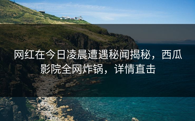 网红在今日凌晨遭遇秘闻揭秘，西瓜影院全网炸锅，详情直击