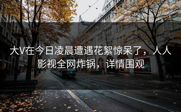 大V在今日凌晨遭遇花絮惊呆了，人人影视全网炸锅，详情围观