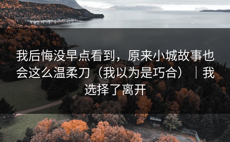 我后悔没早点看到，原来小城故事也会这么温柔刀（我以为是巧合）｜我选择了离开